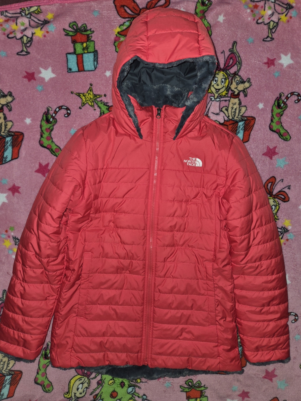 The North Face Kids' Red Hooded Insulated Jacket